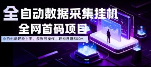 全自动数据采集挂G，全网首码项目，简单易操作，小白也能轻松上手，多账号操作，轻松日入500+【揭秘】-网赚36计