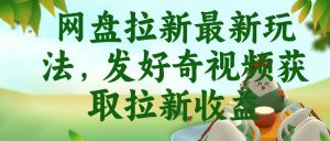 网盘拉新最新玩法，发好奇视频获取拉新收益，抖音收藏家玩法-网赚36计
