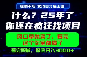 26年，请不要疯狂的找项目做了！卖项目才是真的稳賺不赔，看完照做，保底日入1k+【揭秘】-网赚36计