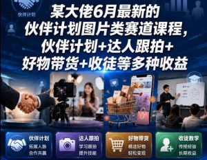 某大佬6月最新的伙伴计划图片类赛道课程，伙伴计划+达人跟拍+好物带货+收徒等多种收益-网赚36计