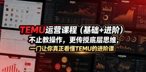 TEMU运营课程（基础+进阶），不止教操作，更传授底层思维，一门让你真正看懂TEMU的进阶课-网赚36计