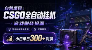 自营项目：CSGO全自动挂G，游戏搬砖捡漏，软件科技简单易用，长期稳定，小白单日300+利润【揭秘】-网赚36计