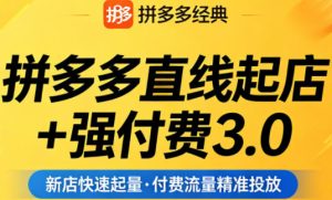 拼多多直线起店+强付费3.0，教你稳定起店、高效控投产、破解流量瓶颈（更新6月）-网赚36计