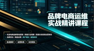 品牌电商运维实战精讲课程|吃透电商品牌落地逻辑、穿越行业周期、搭建长效变现运营体系-网赚36计