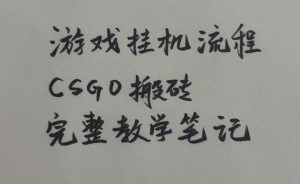 游戏挂G全流程笔记分享,CSGO游戏搬砖,小白看了当天学会见收益【揭秘】-网赚36计