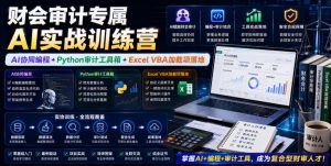 财会审计专属AI实战训练营｜AI协同编程+Python审计工具箱+Excel VBA加载项落地（更新0816）-网赚36计