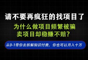 找项目?别傻了!卖项目才是真的一本万利!看完你全都懂了【揭秘】-网赚36计