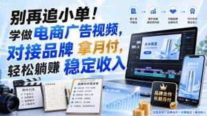别再追小单！学做电商广告视频，对接品牌拿月付，轻松躺賺稳定收入【原创双语字幕】-网赚36计