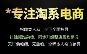 松鼠会电商VIP课程，从基础布局到高阶优化，助你掌握淘宝运营逻辑，提升店铺流量与转化（更新0823）-网赚36计