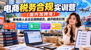 电商税务合规实训营(国内加跨境),教电商人合法合规降税负,避开税务红线-网赚36计
