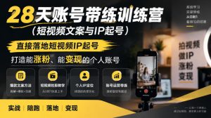 28天账号带练训练营（短视频文案与IP起号），直接落地短视频IP起号，打造能涨粉、能变现的个人账号-网赚36计