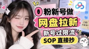 0粉新号做网盘拉新，新号过限流，SOP直接抄-网赚36计