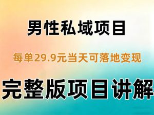 男性私域项目每单29.9，当天就能落地变现【不是S粉项目】详细拆解-网赚36计