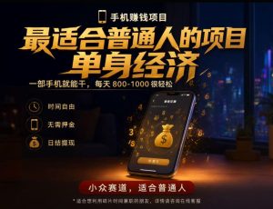 单身经济小众赛道，每天800-1000，一部手机就能干，最适合普通人的项目【揭秘】-网赚36计