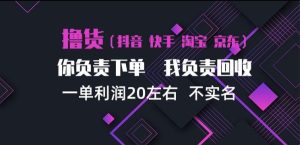 抖音淘宝快手买手项目，一单利润20左右，单号每天下三单，可矩阵【揭秘】-网赚36计