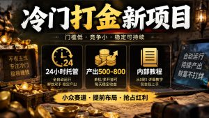 冷门打金新项目，24小时托管，产出500-800，内部教程【揭秘】-网赚36计