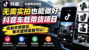 无需实拍也能做好抖音车载带货项目，收益非常稳定，每天坚持发就可以！-网赚36计